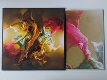 Load image into Gallery viewer, Simon Leoza - Albatross (vinyle/vinyl)
